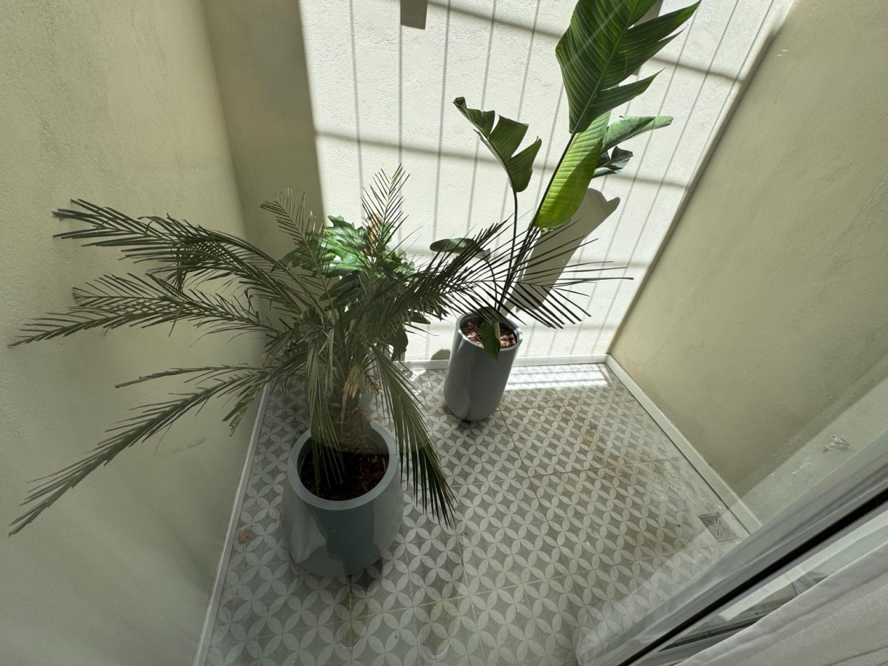 CHALET DE 4 AMBIENTES EN CHAUVIN | RECICLADO Y AMOBLADO